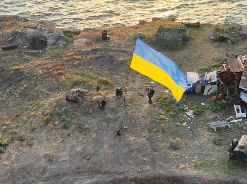 Украинские военные показали установленный флаг на острове Змеиный