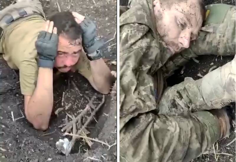 Зарываются в землю и обречённо ждут плена: глава Чечни прокомментировал пленение очередной группы украинских военных