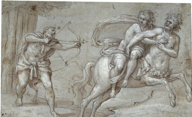 Растительные яды на войне