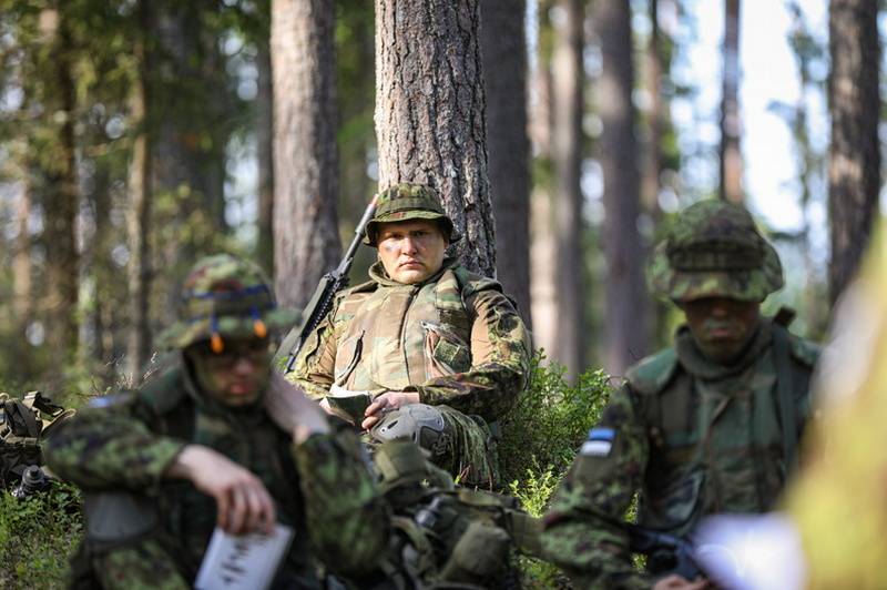 وزارت دفاع استونی آماده سازی برای انجام یک جنگ چریکی در صورت "تهاجم روسیه" را آغاز کرده است.