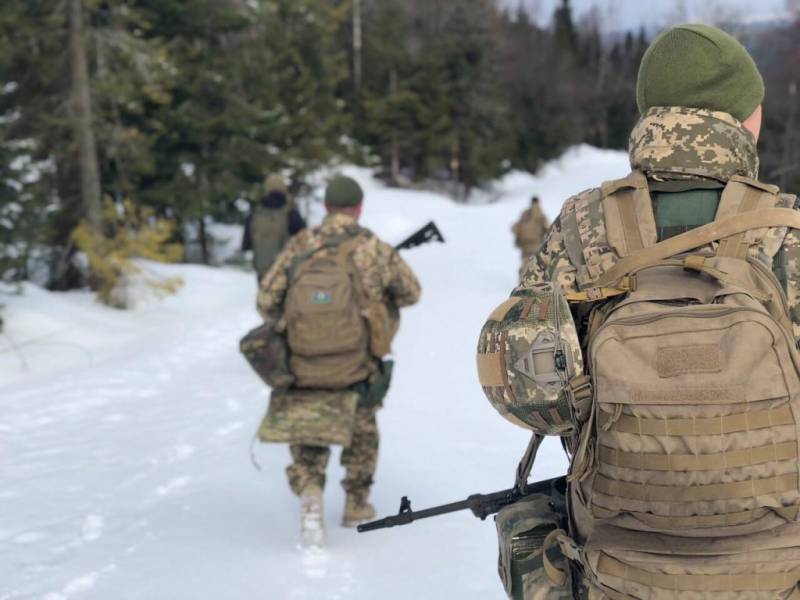 Il ministro della Difesa lituano ha promesso di fornire a parte dell'esercito ucraino divise invernali