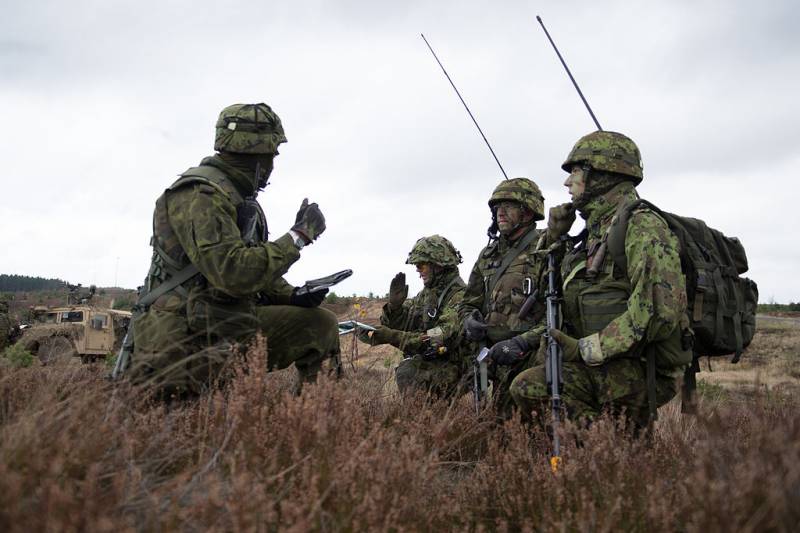 Эксперт: НАТО готовит в Эстонии диверсантов для атак на российские объекты