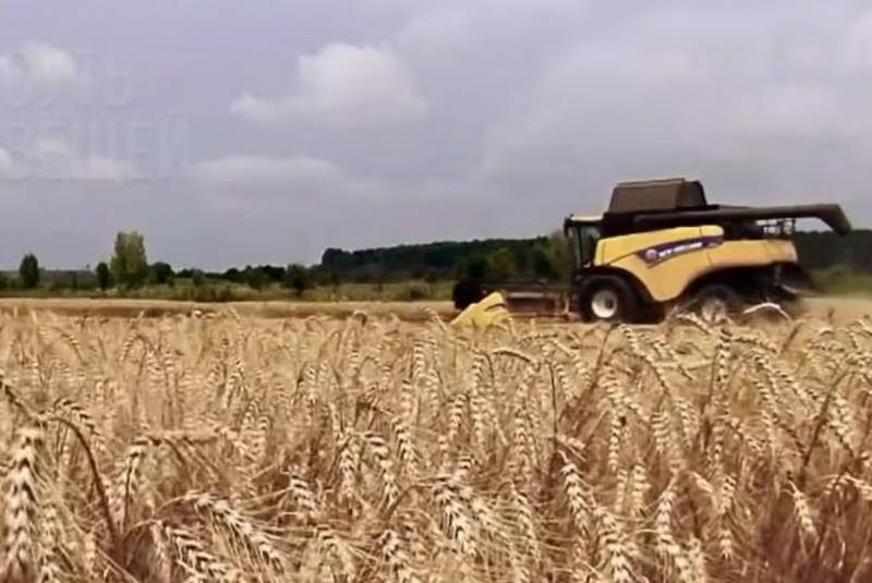 As autoridades francesas propuseram uma opção de terra para a exportação de grãos da Ucrânia