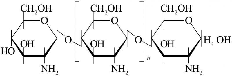 Hemostatic from mushrooms or shellfish? fashion sentence