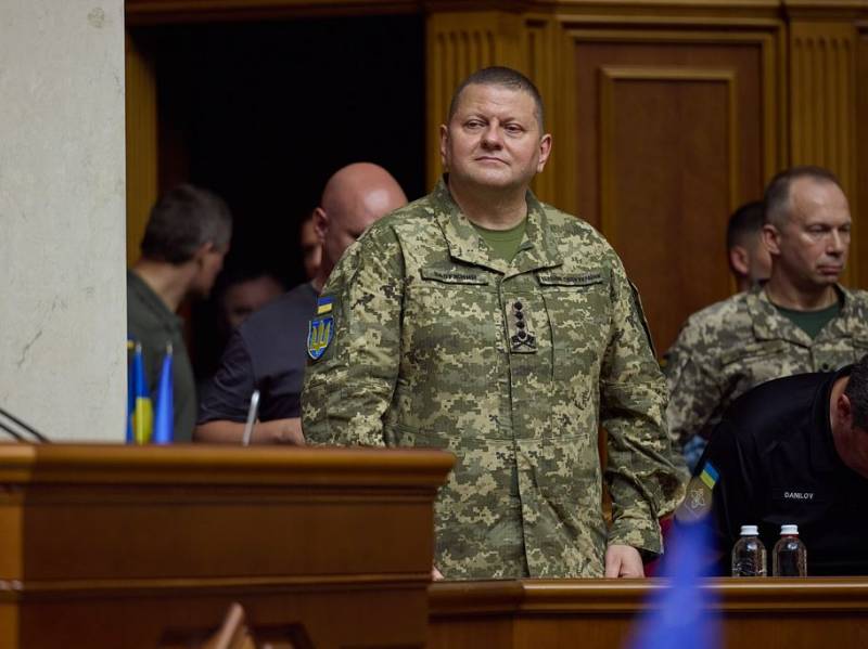 „Všechny je zabijeme“: reagoval vrchní velitel ozbrojených sil Ukrajiny na hacknutí své stránky na sociální síti