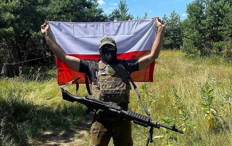 폴란드 용병은 우크라이나 국군의 부서진 부대 대신 우글레다르 방향으로 이동