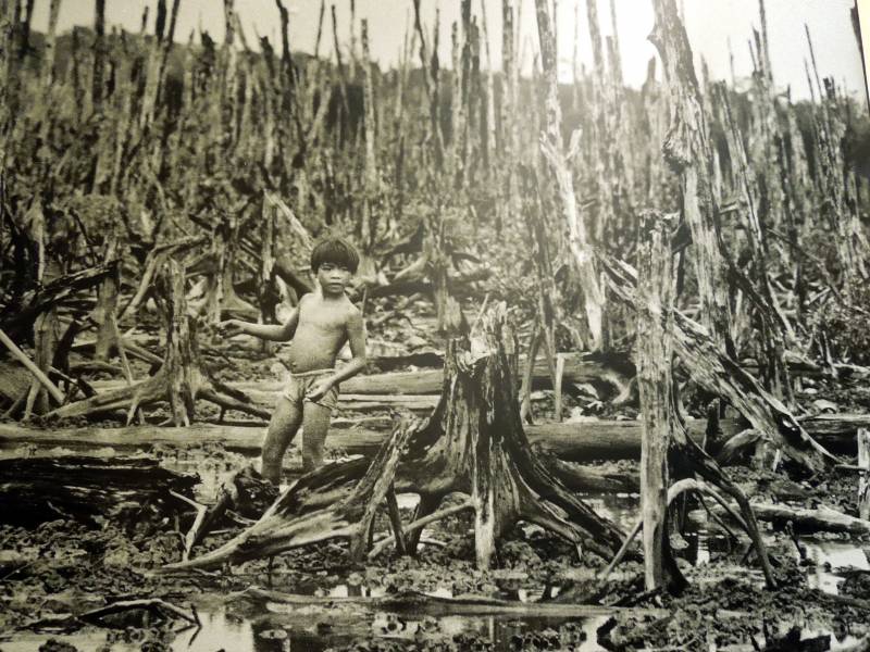 Кожно-нарывные ОВ. Тиоловые яды и модификаторы пластического обмена