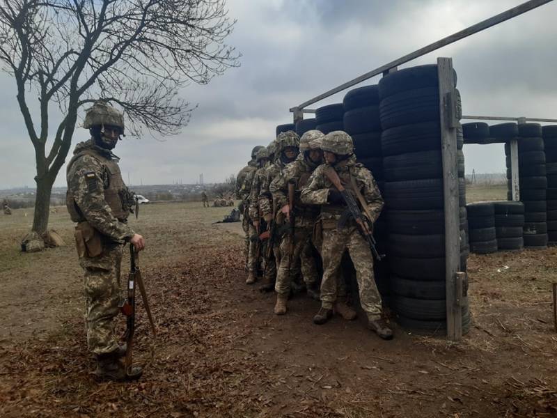 체코 의회는 군대가 해당 국가에서 우크라이나 군대의 군인 훈련을 조직하도록 허용했습니다.