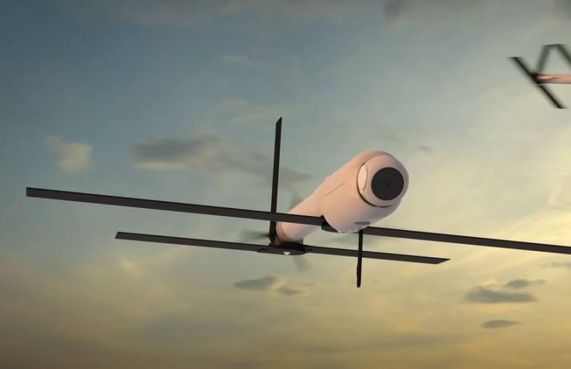 Lituania se convertirá en el segundo país después de Estados Unidos en comprar drones kamikaze Switchblade 600