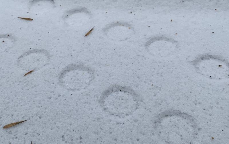 雪の中の足跡