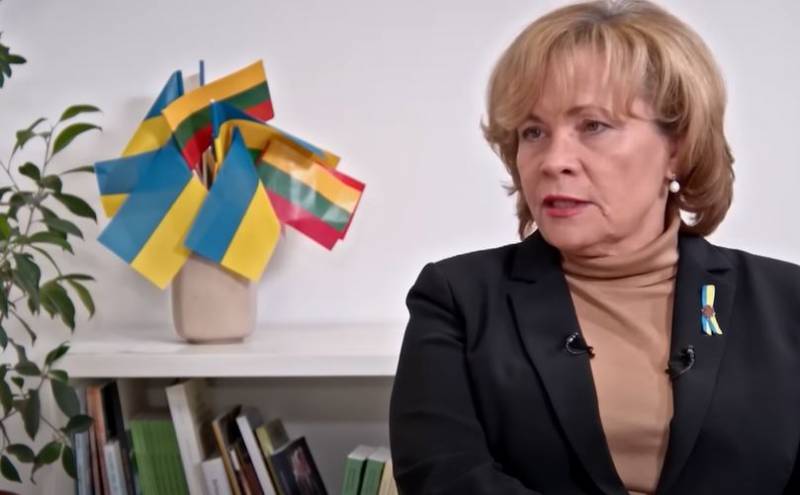 Europaabgeordneter aus Litauen: Nach dem Sieg über Russland wird sich Selenskyj mit Weißrussland auseinandersetzen