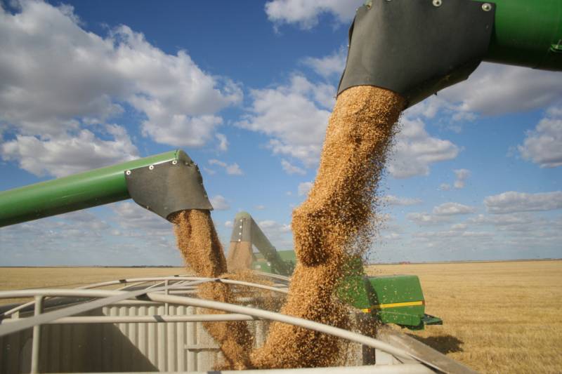 Diplomatico russo: la Russia è pronta a sostituire completamente il grano ucraino per i paesi più poveri del mondo