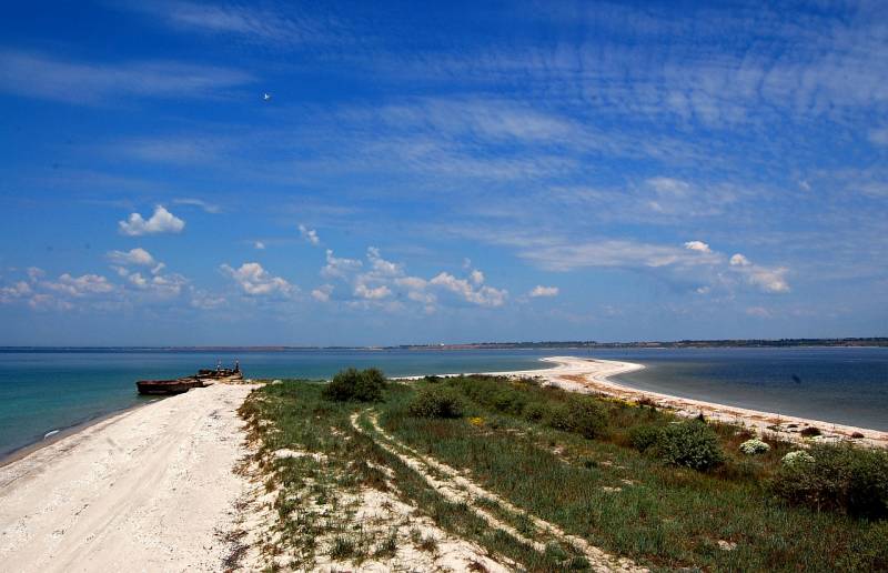 "Don" tugayının komutanı, Nikolaev bölgesi valisi Kim'in Kinburn Spit'teki APU yarışlarının kontrolü hakkındaki açıklamasını yalanladı.