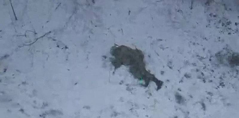 Russian fighter dodged a grenade dropped from a drone, and then pretended to be dead and neutralized the drone itself
