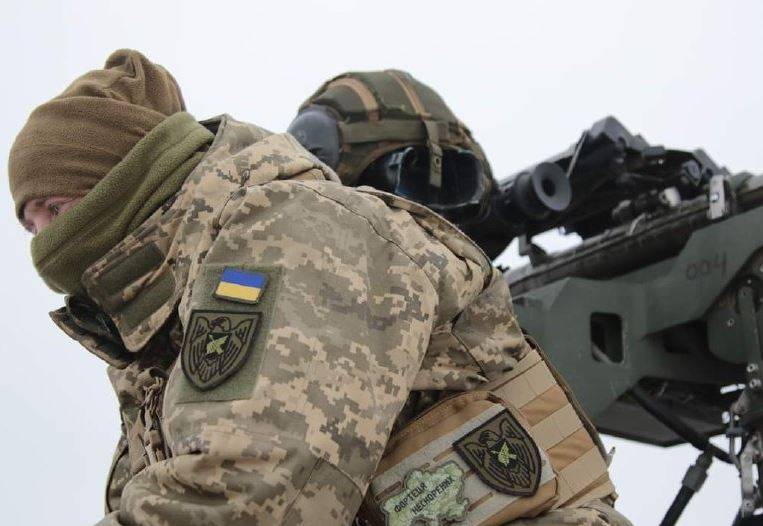 Замгоссекретаря США Нуланд пообещала сформировать на Украине вооруженные силы будущего для сдерживания России после конфликта
