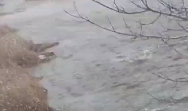 Informações sobre o enfraquecimento da barragem em Artyomovsk pelas Forças Armadas da Ucrânia foram confirmadas