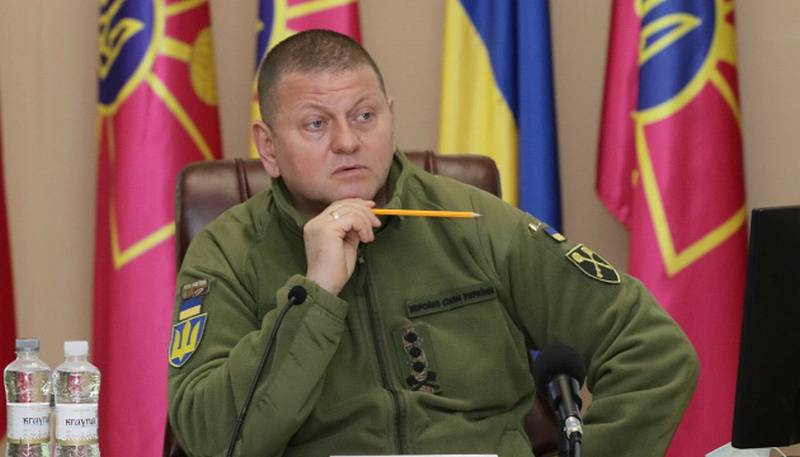 القائد العام للقوات المسلحة الأوكرانية زالوجني يستعد لإضراب للمجموعة الجنوبية من الجيش الأوكراني في اتجاه زابوروجي