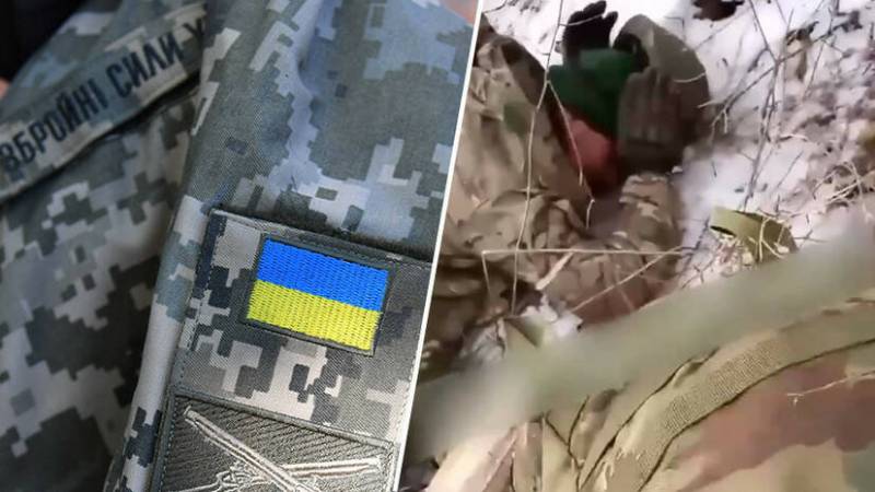 ¿Cómo debemos responder a los crímenes de guerra de las Fuerzas Armadas de Ucrania?