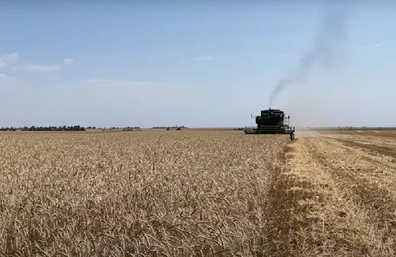 Prime Minister of Poland called for limiting the amount of Ukrainian grain sent to the EU