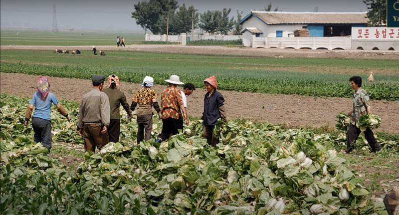 Ким Чен Ын: На армию КНДР возложена ответственность по обеспечению продовольственной безопасности страны