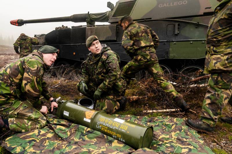 Германия и Нидерланды завершают интеграцию сухопутных войск