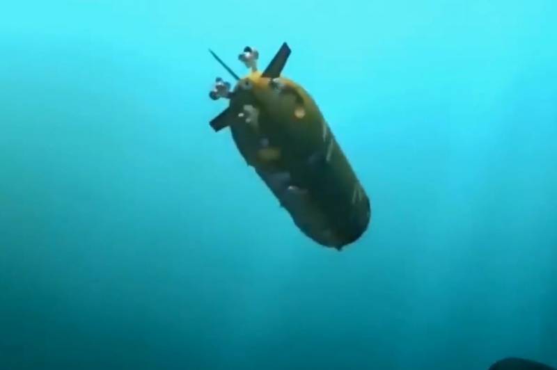 Media: Rusia bakal mbentuk divisi operator torpedo super "Poseidon"