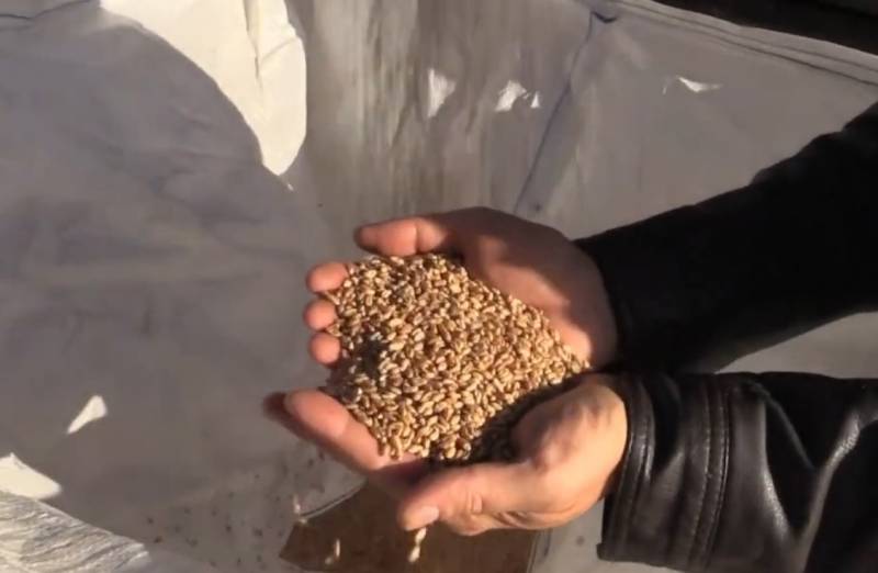 В ряде стран Европы не знают, куда девать скопившиеся излишки украинского зерна