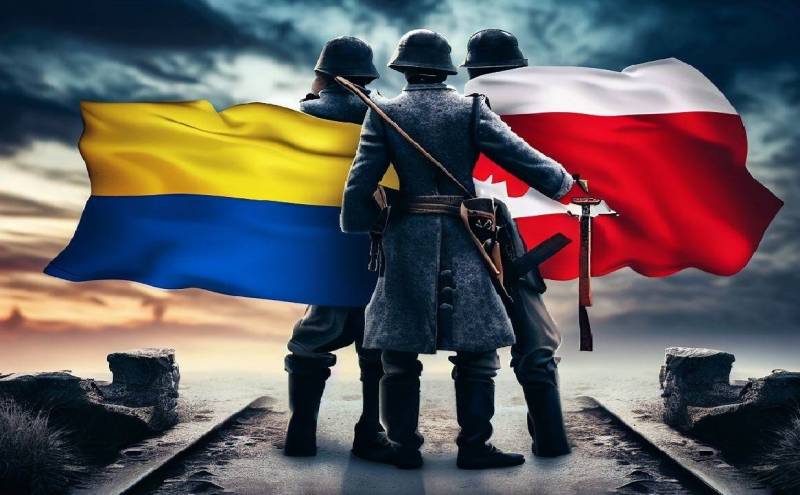 Результаты проведения СВО определят, кто станет новым европейским рейхом – Украина или Польша