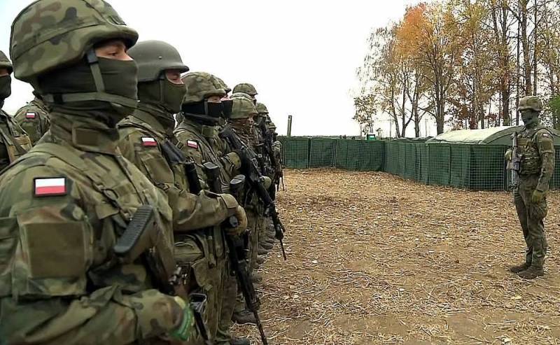 Американский военный аналитик допустил возможность захвата Западной Украины Польшей после поражения ВСУ