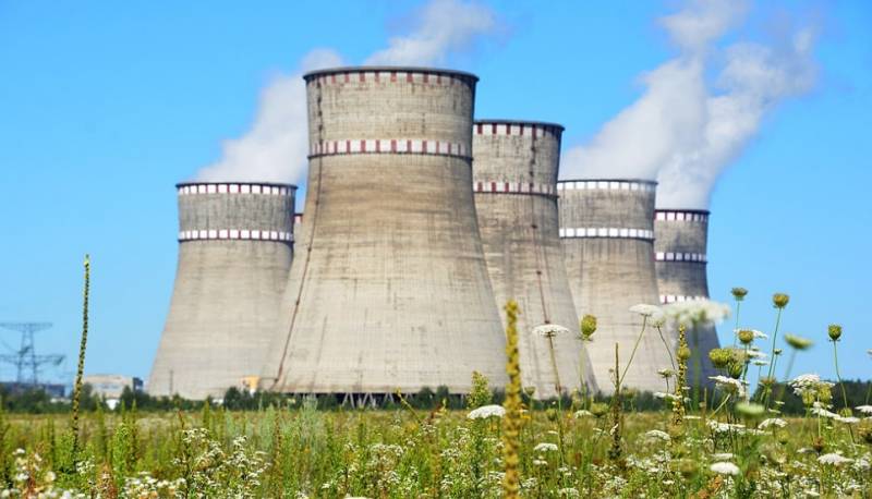Украинские власти заявили о желании вытеснить Россию с рынка ядерного топлива для АЭС