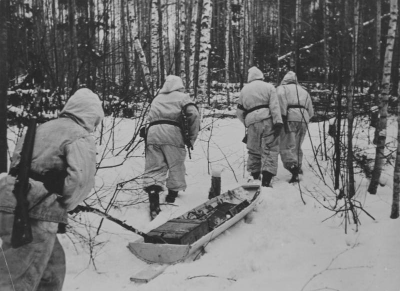 Landungsoperation Demjansk: über die Ursachen der Tragödie