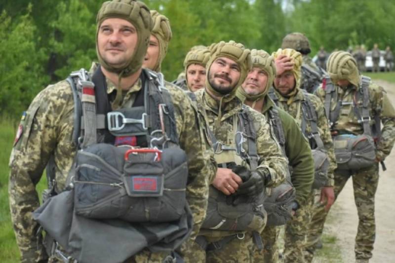 Под Белогоровкой штурмовые подразделения ВС России взяли в плен более 20 украинских военнослужащих