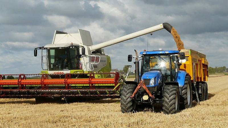 Румыния ввела временный запрет на импорт зерна, кукурузы, подсолнечника и рапса из Украины
