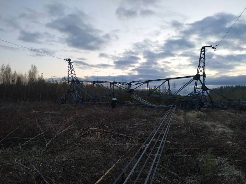 В Гатчинском районе Ленинградской области неизвестные подорвали опору ЛЭП