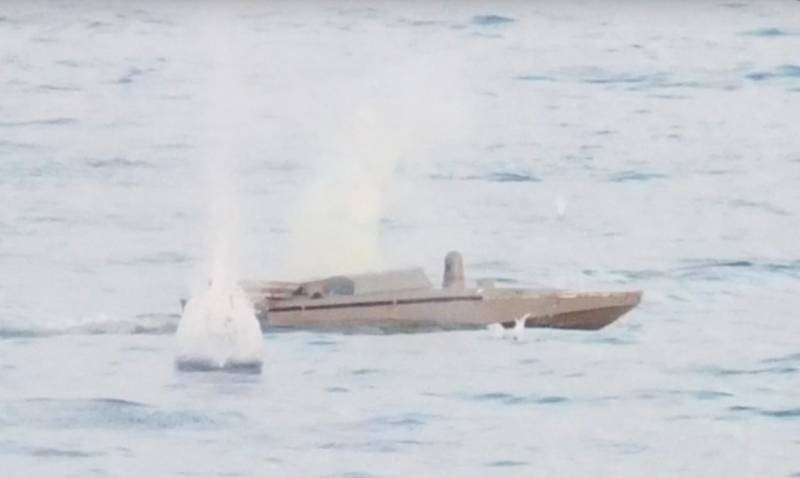 «Надводные беспилотники ВСУ показали малую эффективность»: в польской прессе оценили урон ВМФ РФ от морских дронов