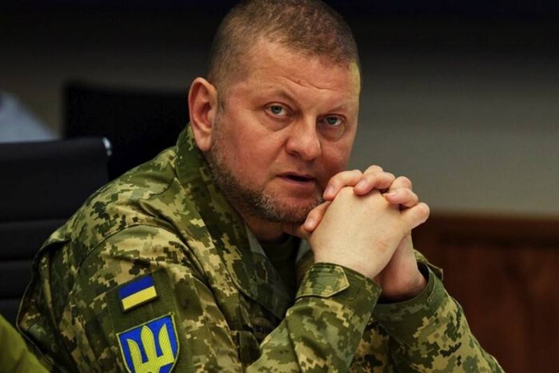 القائد العام للقوات المسلحة الأوكرانية زالوجني ضد بدء هجوم مضاد دون غطاء للقوات البرية من قبل المقاتلين الغربيين