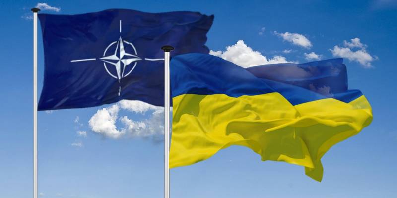 Премьер Эстонии и генсек НАТО анонсировали «сюрприз», касающийся членства Украины в альянсе