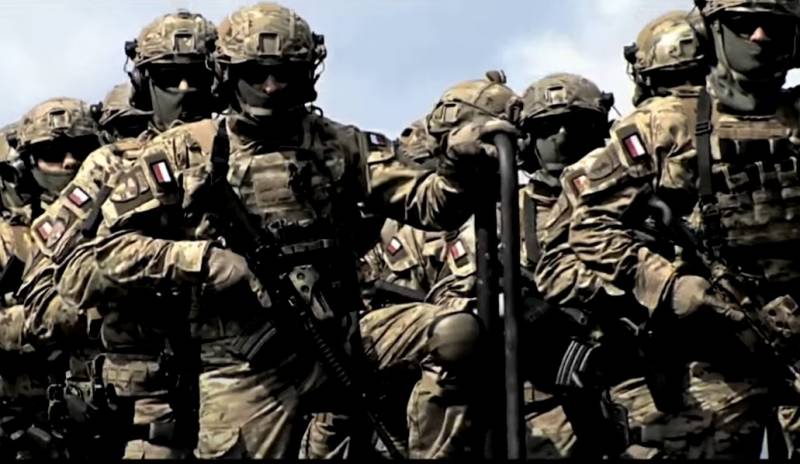 Польша стала лидером НАТО по удельному весу военных расходов