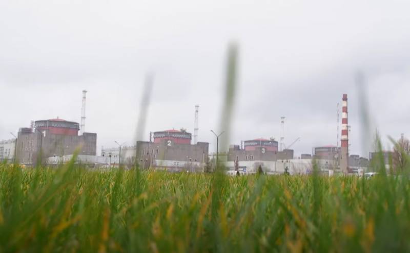 Представители миссии МАГАТЭ заявили об обнаружении нескольких противопехотных мин на «периферии периметра ЗАЭС»