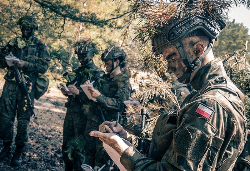 फ़्रेंच टीवी चैनल: पोलैंड और बाल्टिक देश यूक्रेन के क्षेत्र में अपनी सेना भेजने की तैयारी कर रहे हैं