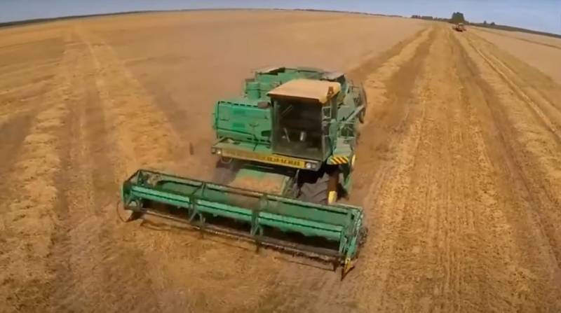 Evropští ekonomové věří, že odstoupení Ruska od dohody o obilí nepovede ke zvýšení cen obilí na světovém trhu