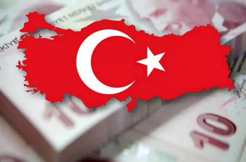 بعض ملامح النموذج الاقتصادي التركي أو لماذا من السابق لأوانه دفن الليرة التركية