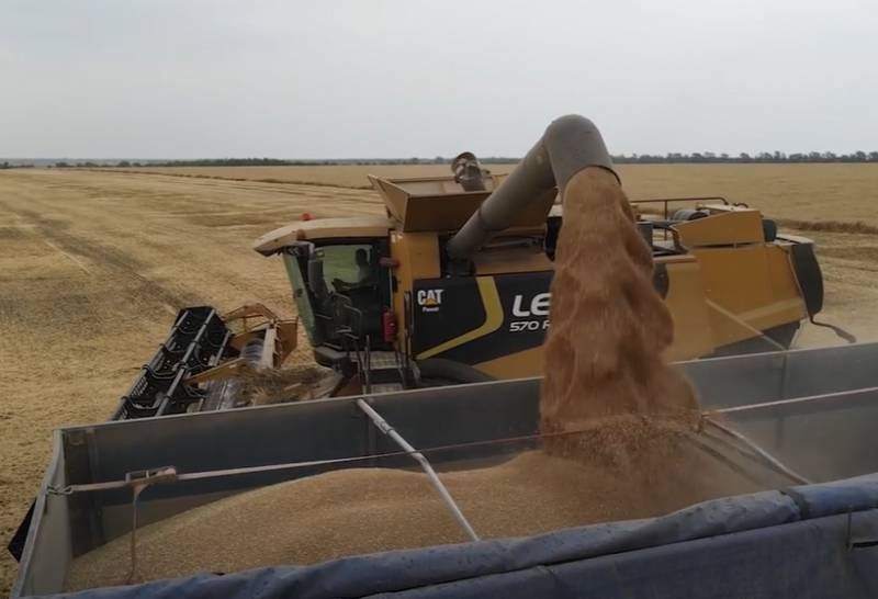 Los precios del trigo subieron después de las palabras de Peskov sobre un acuerdo de granos