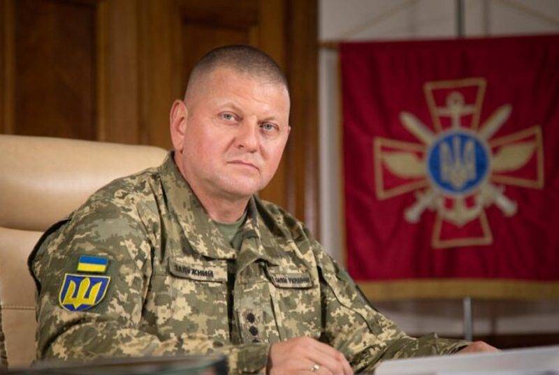 Ukrainan resurssit: Zaluzhnylla ei ole kiirettä muuttaa Ukrainan asevoimien vastahyökkäyksen strategiaa amerikkalaisten neuvojen perusteella
