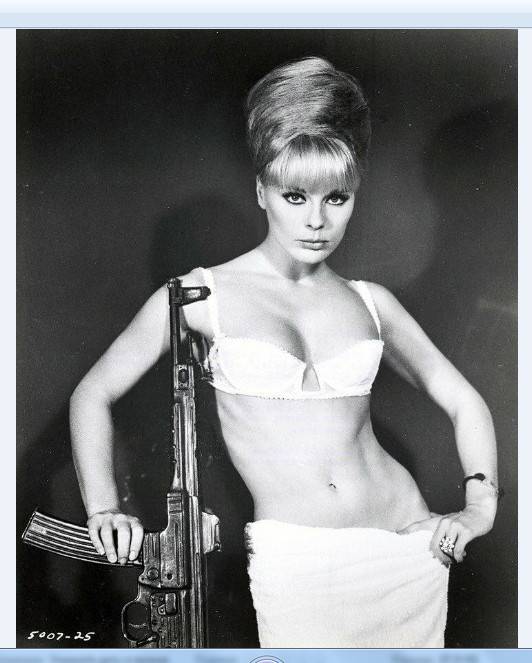 Послевоенное использование самозарядных винтовок и автоматов, произведённых в нацистской Германии