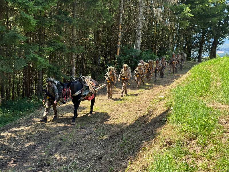 El ejército francés vuelve al uso de mulas