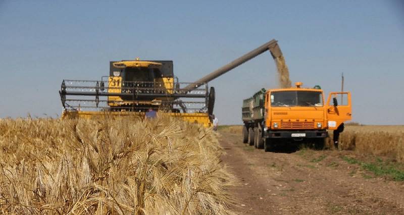 彭博社：粮食协议终止后乌克兰农民正在减少冬季作物种植面积