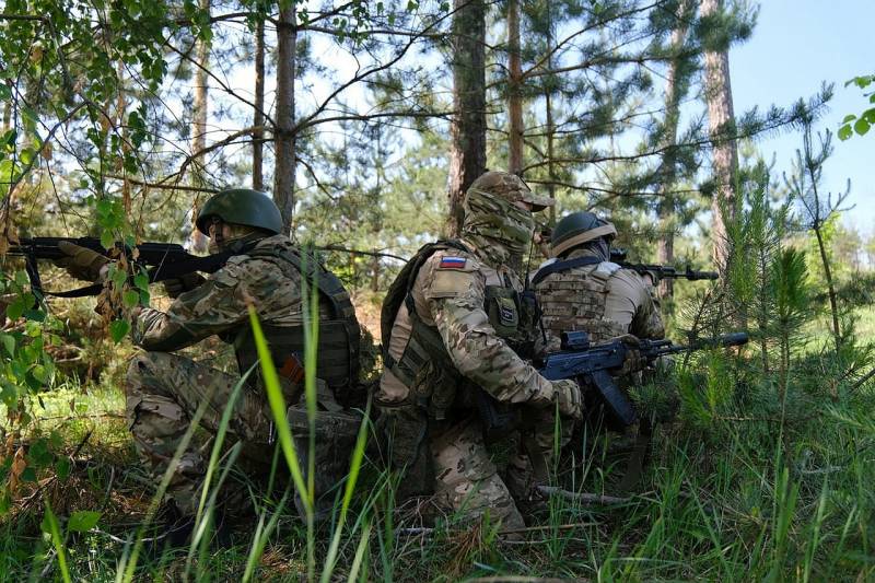 Nella direzione sud di Donetsk, le forze armate russe stanno ripulendo le piantagioni intorno a Novodonetsk e restituendo parte del territorio precedentemente perduto