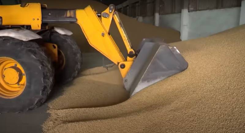 Varsovia y Kiev acordaron acelerar el tránsito de cereales ucranianos exportados a través de Polonia a terceros países