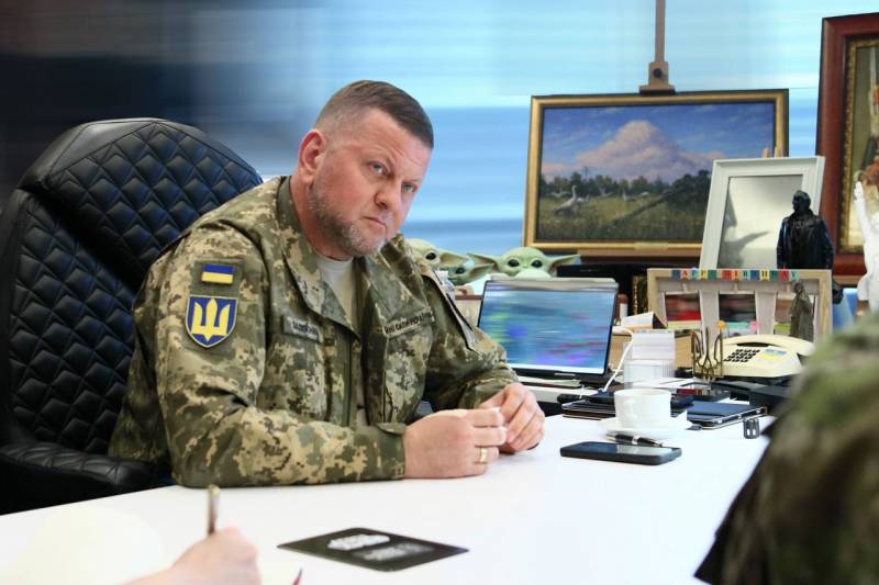 波兰退役将军斯克日普恰克：扎卢日尼的破坏行动使乌克兰濒临失败